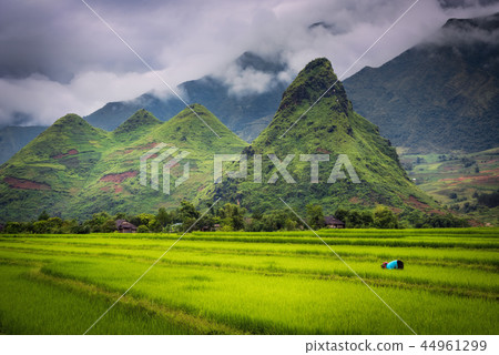 A four hills in somewhere near Mu Cang Chai  44961299