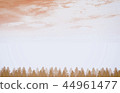 Brown Forest Background 44961477
