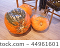 Pumpkin  44961601
