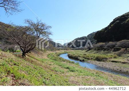 South Izu Landscape of the Aono River in autumn South Izu Landscape of the Aono River in autumn 44962712