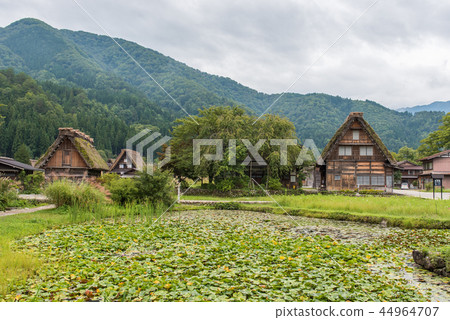 World Heritage Gifu Shirakawa-go World Heritage Gifu Shirakawa-go 44964707