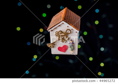 Love concept for valentine's day on  house 44965272