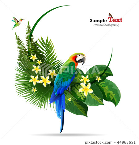 Exotic tropical leaf background in greeting plant. Exotic tropical leaf background in greeting plant. 44965651