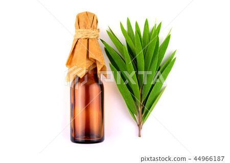 Isolated Tea Tree Essential Oil (Melaleuca). 44966187