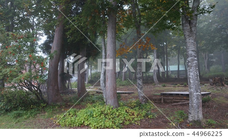 Lake Sugamo Late Autumn 44966225