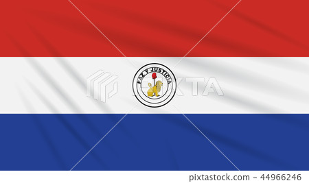 Flag Paraguay - back side swaying in wind, vector 44966246