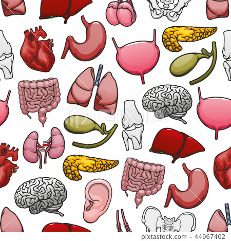Human organs and bones medical seamless pattern 44967402