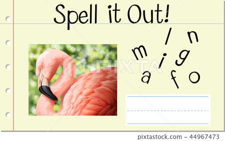 Spell English word flamingo Spell English word flamingo 44967473