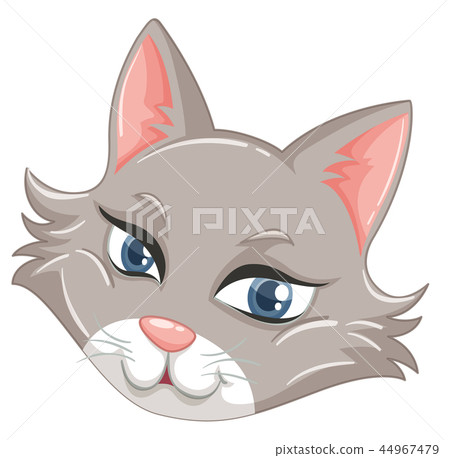 A face of cute cat 44967479