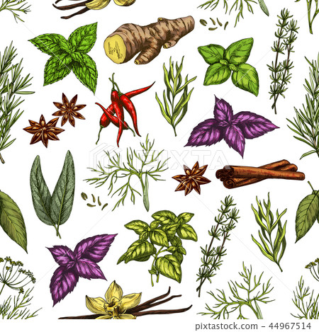 Organic herbs and spice seasonings sketch pattern Organic herbs and spice seasonings sketch pattern 44967514