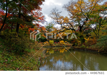 The royal garden garden of Chosun Dynasty and the autumn of Changdeok Palace The royal garden garden of Chosun Dynasty and the autumn of Changdeok Palace 44967681