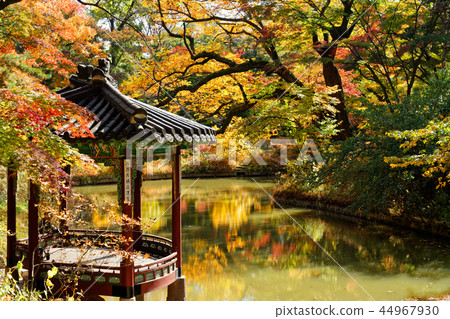 The royal garden garden of Chosun Dynasty and the autumn of Changdeok Palace 44967930
