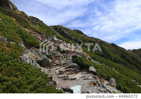 通往南阿爾卑斯山的山宮山頂的路 44968372