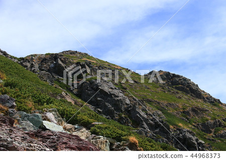 The way to the summit of Mt. Shiomiyama in the Southern Alps 44968373