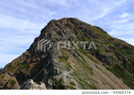 The way to the summit of Mt. Shiomiyama in the Southern Alps 44968374