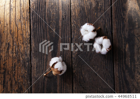 Cotton flower board back 44968511