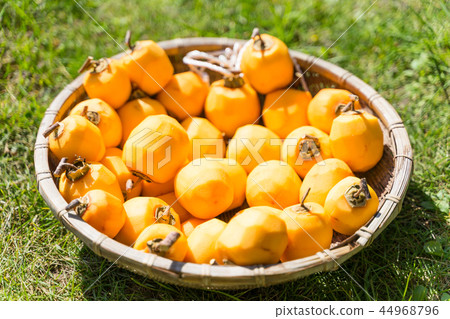 收斂皮膚去皮 44968796