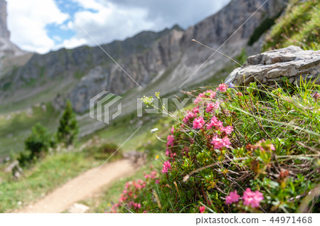 Mountain Scene in the Italian Dolomites 44971468