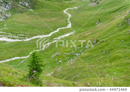 Mountain Scene in the Italian Dolomites 44971469
