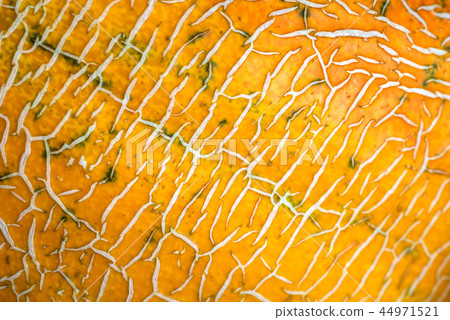peel of ripe melon, yellow abstract background, peel of ripe melon, yellow abstract background, 44971521