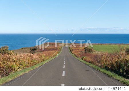 Noguchi Cape 44971641