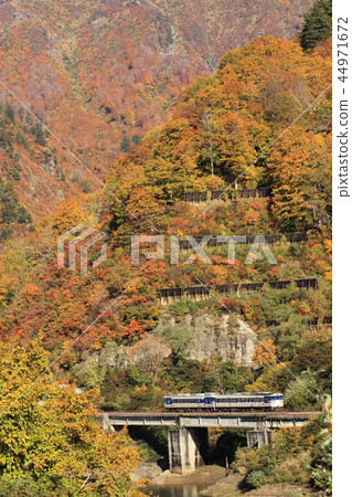 Autumn leaves and Tadami line 44971672
