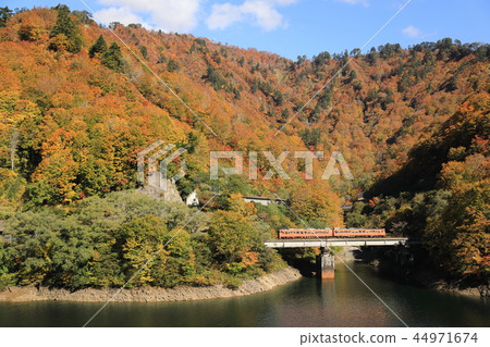 Tadami line colored leaves enjoyment number 44971674