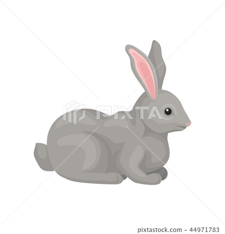 Graphic Grey Rabbit Grey rabbit, wild forest rodent animal vector... - Stock Illustration ...