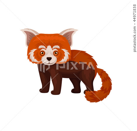 Cute Chinese Red Panda Fluffy Animal Vector Stock Illustration