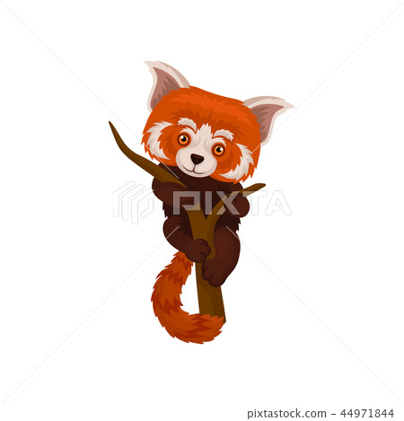 Chinese red panda hanging on a tree branch, cute fluffy wild animal vector Illustration on a white Chinese red panda hanging on a tree branch, cute fluffy wild animal vector Illustration on a white 44971844