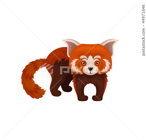 Cute chinese red panda wild animal vector Illustration on a white background 44971846