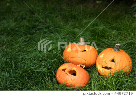 halloween carved pumpkins, jack-o-lantern halloween carved pumpkins, jack-o-lantern 44972719