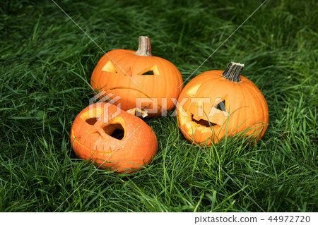 halloween carved pumpkins, jack-o-lantern halloween carved pumpkins, jack-o-lantern 44972720