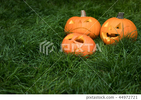 halloween carved pumpkins, jack-o-lantern halloween carved pumpkins, jack-o-lantern 44972721