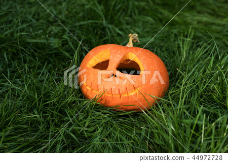 halloween carved pumpkins, jack-o-lantern halloween carved pumpkins, jack-o-lantern 44972728