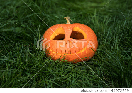 halloween carved pumpkins, jack-o-lantern halloween carved pumpkins, jack-o-lantern 44972729