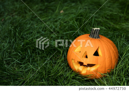 halloween carved pumpkins, jack-o-lantern halloween carved pumpkins, jack-o-lantern 44972730