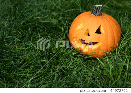 halloween carved pumpkins, jack-o-lantern 44972731