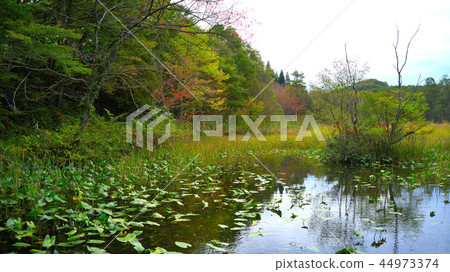 Scenery along the Tazawako Line 44973374