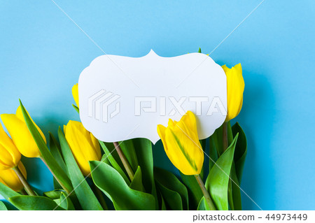 vintage frame and yellow tulips on blue background 44973449