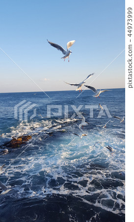海背景 海背景 44973999