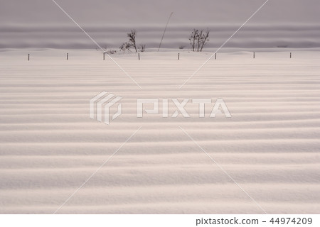 下雪的晚上風景 44974209
