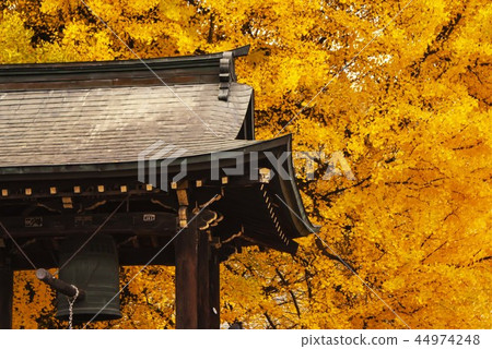 Bell Tsukido and Great Ginkgo 2 44974248
