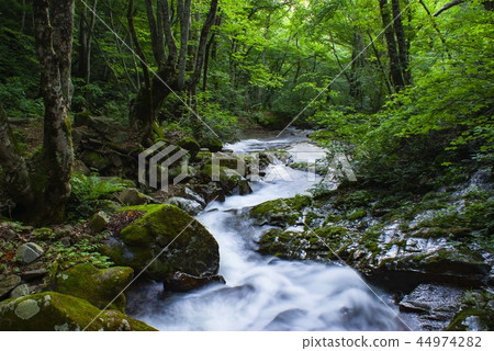 Green Stream Green Stream 44974282