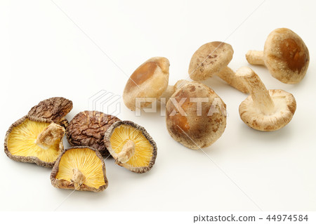 乾香菇和生香菇 44974584