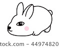 一隻可愛善良的圓滾滾白色兔子 44974820