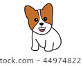 一隻可愛快樂的柯基犬小狗 44974822