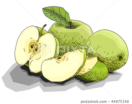 Vector illustration of drawing fruit green apples. 44975148