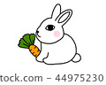 一隻愛吃胡蘿蔔的可愛白色兔子 44975230