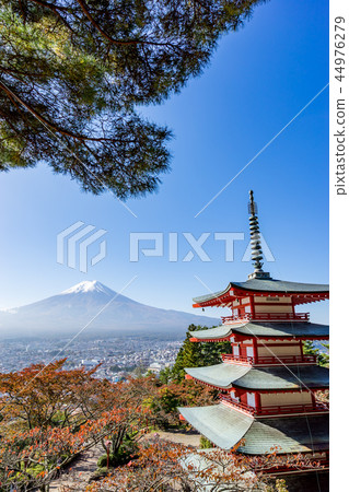 [Yamanashi Prefecture] Niikurayama Sengen Park 44976279